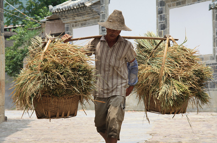 Les hommes célibataires marginalisés en Chine rurale