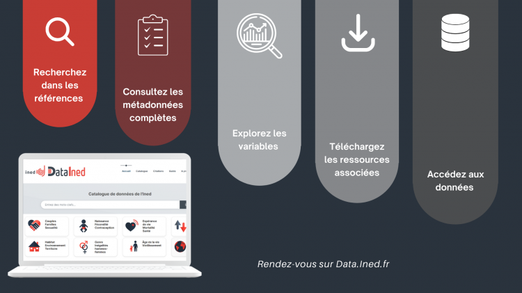 DataIned, le nouveau catalogue en ligne d’enquêtes et de données de l’Ined